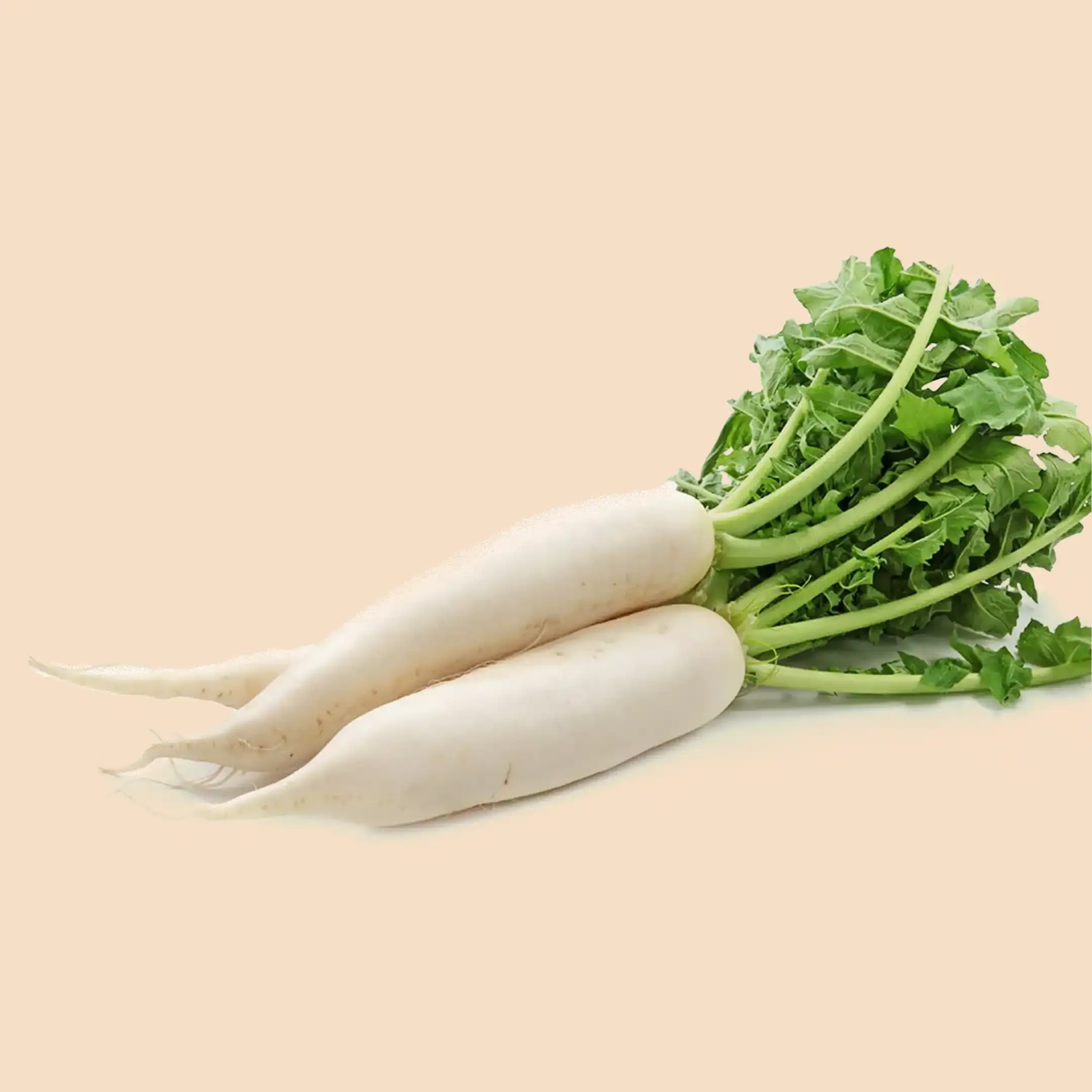 Radish white with leaves (Mooli)