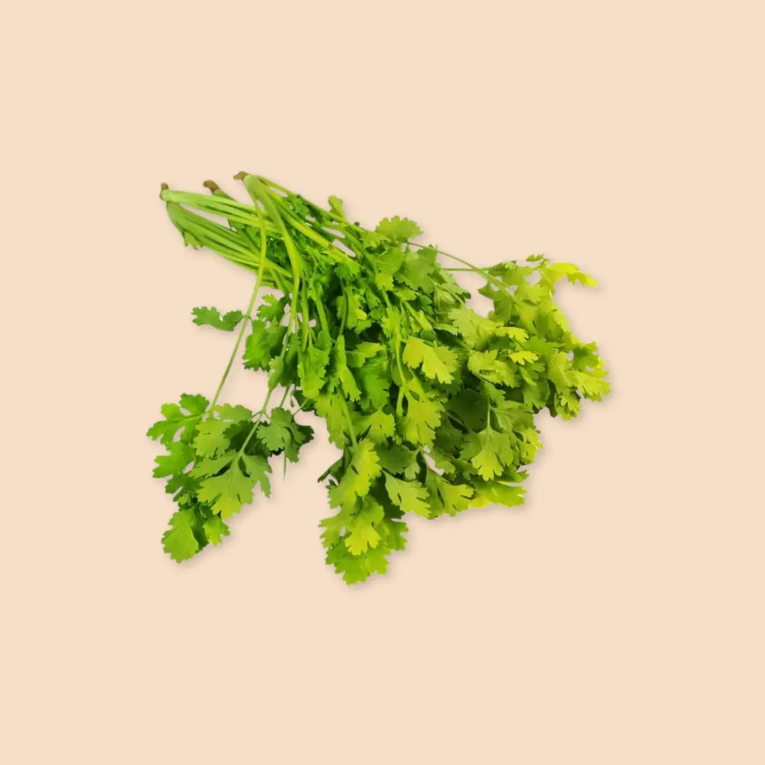 Coriander (Dhaniya)